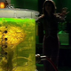 Image for article titled Doctor Who (Classic): “The Brain Of Morbius”